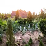 Old Garden