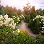 Old Garden Hotel