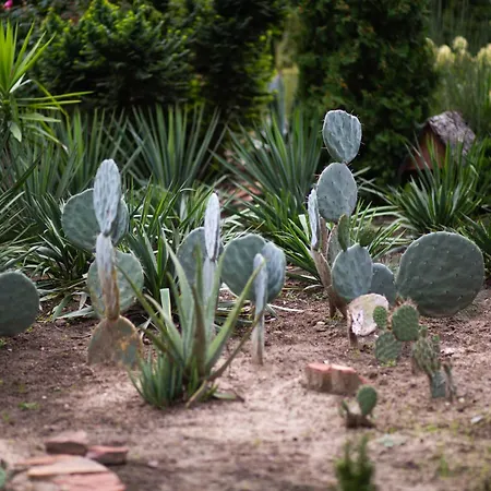 Old Garden Hotel Babiak (Kolo)