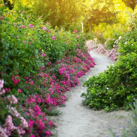 Old Garden