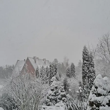 Old Garden 3*