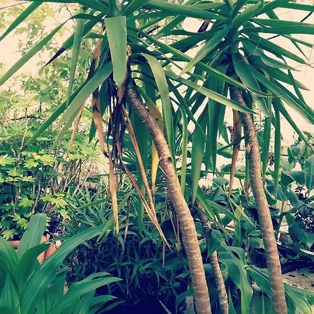 호텔 Old Garden 3*
