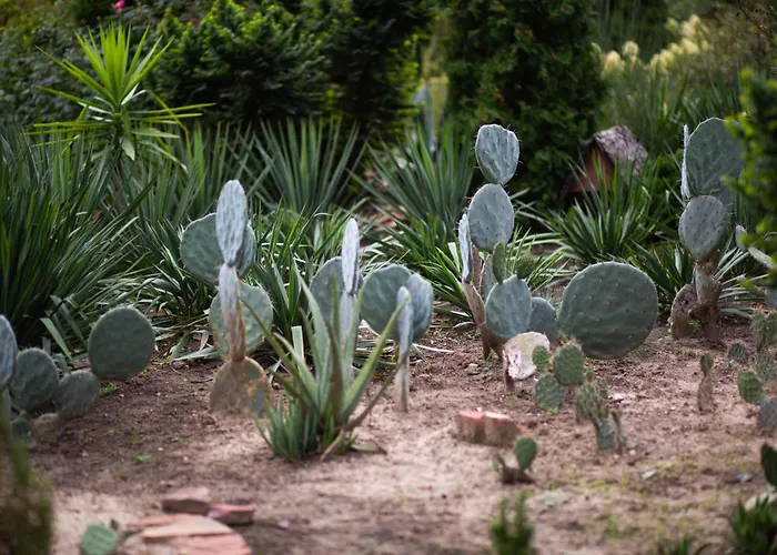 Old Garden Hotel Babiak (Kolo)